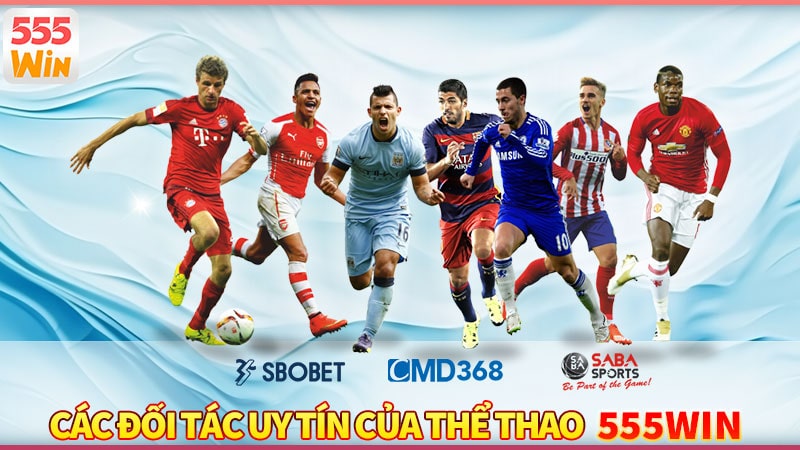 Top 5 đối tác cá cược thể thao uy tín của 555win