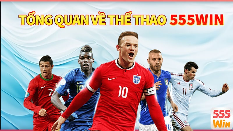 Tổng quan về sảnh thể thao 555win