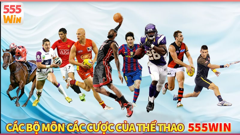 Các bộ môn cá cược đáng thử tại thể thao 555win